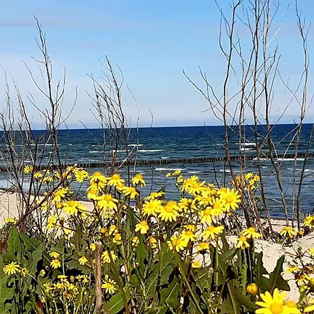 アパート Haus Sturmfried - Luett Frieda