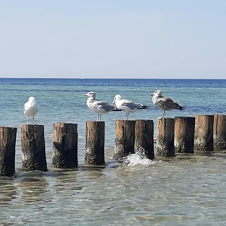 Haus Sturmfried - Luett Frieda アパート *